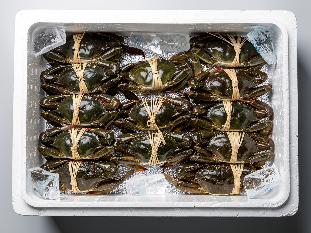 Mud crab export packing process